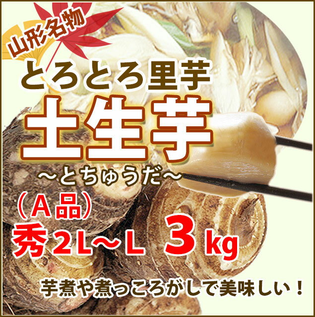 里芋 ねっとり さといも 山形 送料無料 3kg 秀2L〜Lサイズ 孫株 A品 土生芋 とちゅうだ 芋煮・煮っころがしにおススめ 山形 粉 皮むき 冷凍 芋煮会 悪戸いも 農産物 ポイント消化 100円 300円 500円 thxgd_18