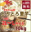 里芋 さといも 山形 送料無料 【 芋 土付き皮付き A品 2L〜L 10kg 丸勘山形 】 さといも サトイモ とろとろ 山形 海老芋 粉 皮むき 冷凍 芋煮会 悪戸いも 悪戸芋 農産物 ポイント消化 100円 300円 500円