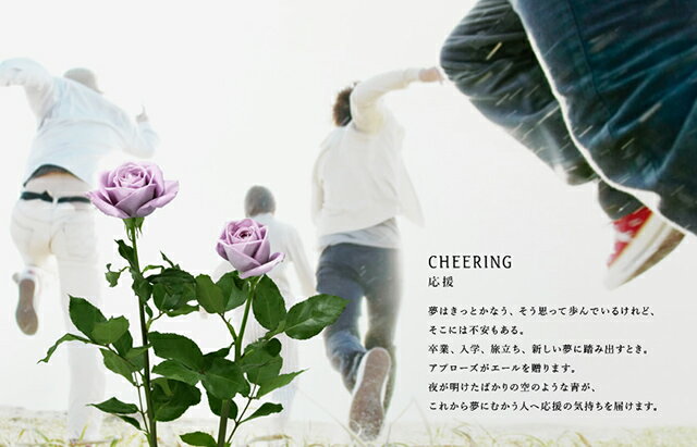 ブルーローズ 花束 サントリー レインボーローズ 送料無料 花 青い薔薇 15本の花束 お中元 お中元 サントリー 青いバラ ブルーローズ 奇跡の青薔薇 サントリー アプローズ 花束 15本 誕生日 プレゼント 青バラ 花束 送料無料 花 結婚記念日 送別会 花ギフト お中元