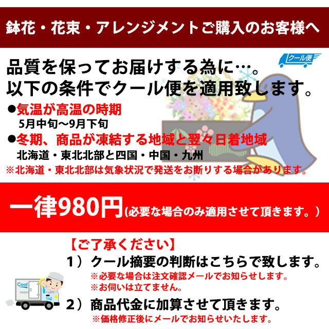エレガンス レインボー ダリア 花ギフト 300円 レインボー ガーベラ 鉢植え 花ギフト 結婚記念日 プリザーブドフラワー 500円 花ギフト ガーベラ 結婚記念日 レインボー ガーベラ ダリア エレガンス レインボー 花束 山形産果物野菜 母の日 ガーベラ 誕生日