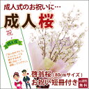 啓翁桜 桜 花束 山形 年始  花 祝 送別 卒業 入学 送別会 花束 プレゼント 送料無料 誕生日 結婚記念日 フラワーギフト 花ギフト 10本 けいおう桜 サクラ 成人の日