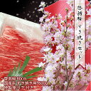 啓翁桜 山形 ( 80cm ) と すき焼き ( 600g ) セット 【 山形牛 国産牛 すき焼き用 牛肉 桜 花 セット おせち ご年始 年賀 贈答 】12...