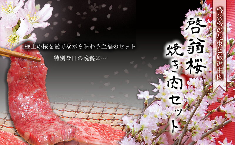 われる 送料無料 3月中 限定 ギフト プレゼント お正月 愛妻の日 ひな祭り 桃の節句 ホワイトデー 卒業 入学 誕生日 結婚記念日 花ギフト:花ギフト 啓翁桜 ( 80cm ) と 焼肉 ( 800g ) セット 12月 後半 〜 のいずれか
