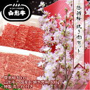 送料無料 啓翁桜 ( 80cm ) と 焼肉 ( 800g ) セット 【 山形牛 国産牛 焼肉用 牛肉 桜 花 セット おせち ご年始 年賀 贈答 ギフト】12月 後半 ～ 3月中 限定 ギフト プレゼント お正月 ひな祭り 桃の節句 ホワイトデー 卒業 入学 誕生日 結婚記念日 花ギフト 花見 ふ