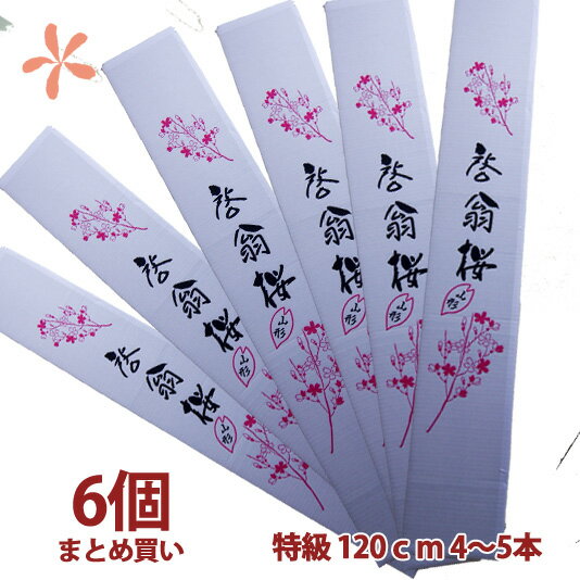 啓翁桜 山形 120cm 4～5本 6個 まとめ買い 桜 枝 生花 さくら 花束 山形 プレゼント お歳暮 ご年始 正月 正月の花 送別会 お花見 花見 年始 年賀状 成人式 成人の日 送別 販売 切り花 花言葉 啓翁桜 山形とは 鉢植え 盆栽 育て方 方法 通販 花瓶 苗木 花ギフト