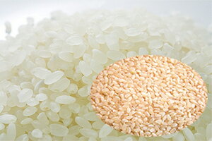 令和 2019年新米 はえぬき 米 新米 特a はえぬき米 白米 10kg 送料無料 山形 山形県 新米令和元年 31年 新米予約 令和新米 令和元年新米 令和元年 無洗米 玄米 お米 10kg 10キロ 農産物 予約 ポイント消化 100円 300円 500円