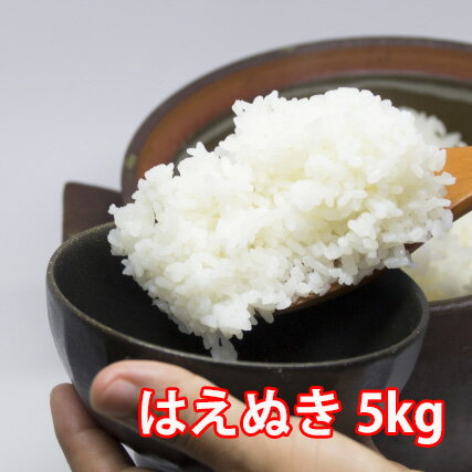 はえぬき 米 新米 特a はえぬき米 白米 5kg 送料無料