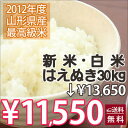 令和2年 2020年 予約 新米 はえぬき 米 新米 特a はえぬき米 白米 25kg 送料無料 山形 山形県 新米令和元年 31年 新米予約 令和新米 令和元年新米 令和元年 無洗米 玄米 お米 農産物 予約 ポイント消化 100円 300円 500円