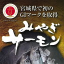 サーモン 刺身 みやぎサーモン 国産 鮭 約2kg〜2.2kg 36人前 〜 44人前 大トロ 生食用 【 銀ざけ 銀さけ 銀鮭 鮮魚 アトランティックサーモン サーモンハラス トロサーモン 鮭ハラス 鮭 刺身 業務用 養殖 宮城 女川 三陸 料理 訳あり 缶詰 1kg 塩辛 】 3