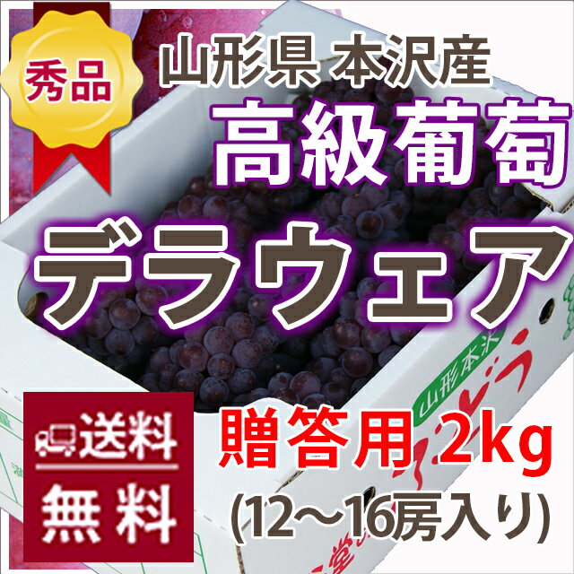 ブドウ デラウェア 送料無料 訳あり ブドウ ト ブドウ 敬老の日 山形市本沢産　高級葡萄 ハウスデラウェア2kg（12〜16房入り） 農産物 ポイント消化 100円 300円 500円