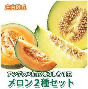 メロン 送料無料 【 食べ比べセット 紅花メロン アンデスメロン 秀3L 各1個 計2個入り 庄内砂丘 】 秀 高級 ト 化粧箱 2L アンデス メロン 品種 めろん 訳あり 2玉 農産物 ポイント消化