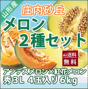メロン 送料無料 【 食べ比べセット 紅花メロン アンデスメロン 秀3L 各2個 計4個入り 庄内砂丘 】 秀 高級 ト 化粧箱 2L アンデス メロン フルーツ 訳あり 2玉 農産物 ポイント消化