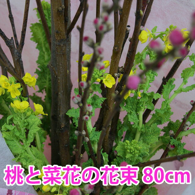 桃の花 菜の花 花束 家庭で飾るに丁度いいサイズ 80cm 桃の節句 ひな祭り ひなまつり 初節句 雛祭り 飾り 桃の節句フェア おしゃれ ギフト お返し お雛様 コンパクト 女の子 インテリア 雛人形 内祝い 花ギフト 飾りつけ 置物