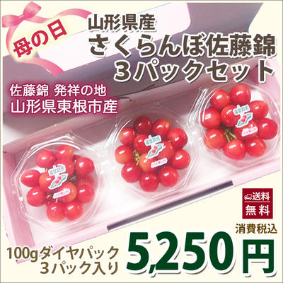 さくらんぼ お中元 佐藤錦 ギフト プレゼント 【 限定プチフール さくらんぼ 100g 3パック セット 山口果樹園 】 フルーツギフト フルーツ 果物 スイーツ 早割 花 お中元 訳あり 苗木 アメリカンチェリー 農産物 ポイント消化 100円 300円 500円