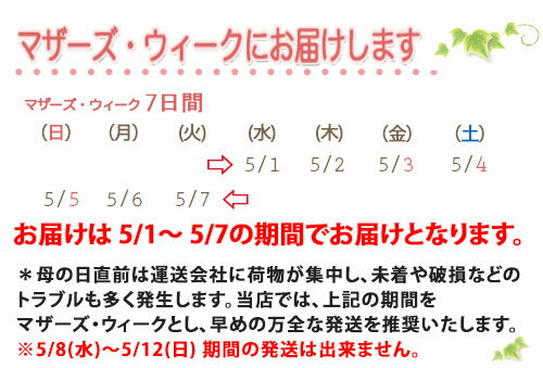 敬老の日 お彼岸 花 ギフト プレゼント 【 プロにおまかせ 花束 】 送料無料 誕生日 花 鉢 花束 鉢花 フラワーアレンジメント フラワーアレンジ 花ギフト お供え 供花 結婚記念日 あじさい ひまわり バラ #4 父の日 お中元 子供の日 端午の節句 中元