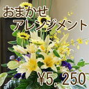 送料無料【あす楽】【誕生日】【結婚記念】【送別会】【お見舞い】 ポイント消化 100円 300円 500円