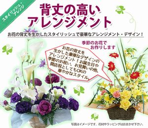 母の日 フラワーギフト ギフト プレゼント 【 プロにおまかせ アレンジメント 】 送料無料 誕生日 花 鉢 花束 鉢花 フラワーアレンジメント フラワーアレンジ 花ギフト お供え 供花 結婚記念日 あじさい ひまわり バラ #25