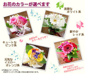 フラワーギフト ギフト 花 プレゼント 送料無料 【 プロにおまかせ 花束 5,000円 】 誕生日 花 鉢 花束 鉢花 フラワーアレンジメント プリザーブドフラワー アレンジメント 花ギフト お供え 供花 結婚記念日 あじさい ひまわり バラ プレゼント ハーバリウム ポイント消化