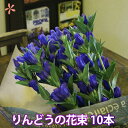 敬老の日 お彼岸 感謝ウィーク 花 ギフト【 山形産 蔵王リンドウ 10本 花束 りんどう 】 生花 お彼岸 プレゼント 送料無料 鉢植え ト 白寿 リンドウ ...