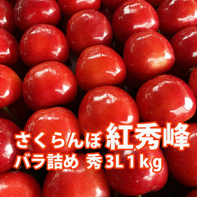 さくらんぼ 紅秀峰 山形 贈答 ギフト 送料無料 【 秀3L 1kg ばら詰め 佐藤N (BS-00...