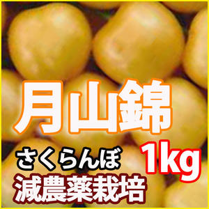 商品内容 山形産　黄色いさくらんぼ　月山錦　手詰め 1kg 秀品　贈答用※産地箱でお届けします。箱デザインは変更になる場合があります。 配送時期 注文先着順に6月下旬頃〜発送します。※発送は、出荷準備が整いましたら、ご予約順に発送させていた...