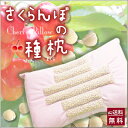 お中元 ギフト 枕 まくら 送料無料【 さくらんぼ種枕 枕カバー 付き 】 さくらんぼ 種 種枕 ト 肩こり いびき 低反発 枕 オーダーメイド 敬老の日 ポイント消化 100円 300円 500円