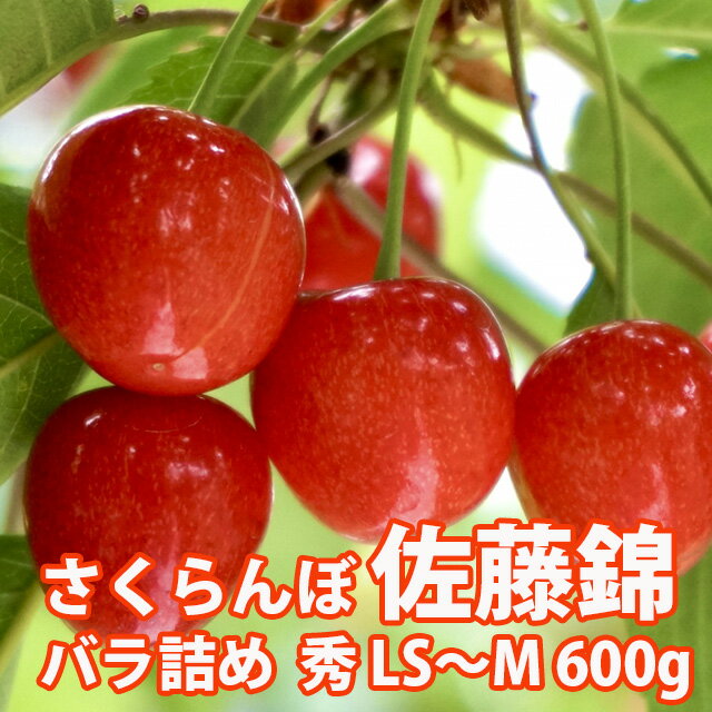 さくらんぼ 佐藤錦 山形 贈答 ギフト 送料無料 【 訳あり ご家庭用 秀LS〜M バラ詰め 600g 佐藤N (S-011) 】 プレゼント チェリー お中元 サクランボ お中元 内祝い 特秀 秀品 1kg 2l 紅秀峰 月山錦 農産物 ポイント消化