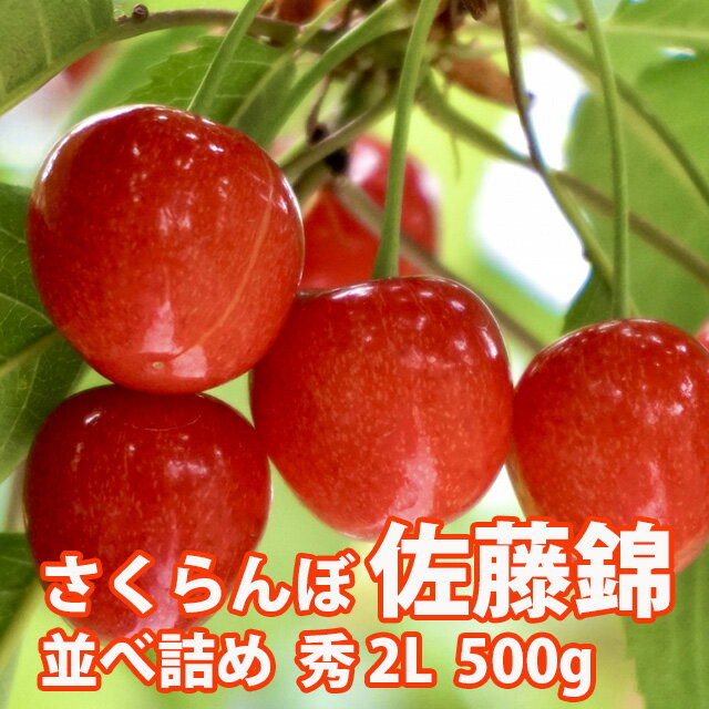 商品内容 山形産　さくらんぼ　佐藤錦 ※産地箱でお届けします。箱デザインは変更になる場合があります。 配送時期と発送順番 収穫時期：例年6月20日頃から（気候状況で変わります）※発送は出荷準備が整いましたら、ご予約順に発送させていただきます。　 配送方法 ヤマト便でお届けいたします。 期日指定 ●農産物の為期日指定が不可となっています。ご注文順に順次発送させて頂いています。。 送料について 全国送料無料 沖縄・離島へはお届けできません。 商品保障 【届いたら、必ずその日のうちに開梱】商品 の状 態をご確認ください。 生ものですので、時間がたつと必ず劣化します。 到着後すぐに開梱して下さい。 ≪保証期間≫ 当日限り。 ※翌日以降の確認での劣化は対象外となります。 （翌日、再配達や転送においても同様となります。ご注意ください。）● お客様都合の不在などで商品がお受け取りいただけな く、商品に不具合が発生した場合、当店では責任を負いかねますのでご了承ください。お届け物につきましては特にご注意ください。 のし及びギフト包装 のし対応　承ります メッセージカード添付　不可 ギフト包装　不可 同梱 商品について さくらんぼ（サクランボ） サクランボは、桜の実という意味の「桜の坊」の「の」が撥音便となり、語末が短母音化したと考えられている。 サクランボの果実は丸みを帯びた赤い実が多く、中に種子が1つある核果類に分類される。 品種によって黄白色や葡萄の巨峰のように赤黒い色で紫がかったものもある。 生食用にされるのは甘果桜桃の果実であり、日本で食されるサクランボもこれに属する。 一般には「初夏の味覚」であり、サクランボや桜の実は夏の季語であるが、近年では温室栽培により1月初旬の出荷も行われている。 正月の初出荷では贈答用として約30粒程度が入った300グラム詰めで3万円から5万円程度で取り引きされ、赤い宝石と呼ばれることがある。 【さくらんぼの品種一覧】 ●ダイアナブライト：サクランボのうち主にアメリカ合衆国西海岸で取れるものはアメリカンチェリーと呼ばれる。 ＜早生種＞ ●高砂（たかさご）：アメリカ原産。収穫時期は6月中旬。元名はロックポートピカロー。受粉樹として栽培される。 ジャボレー：フランス原産。酸味が強く糖度が低い。ジャム、果実酒等の加工用。 ※その他に紅さやか紅ゆたか・香夏錦・正光錦・日の出などがある。 ＜中生種＞ ●佐藤錦（さとうにしき）：国内で最も多く生産されている品種。1912年（大正元年）から16年かけ、ナポレオンと黄玉を交配してできた。名前は交配育成した山形県東根市の佐藤栄助に因んで1928年（昭和3年）に命名された。 ※その他に北光・天香錦・夕紅錦などがある。 晩生種 ●ナポレオン：ヨーロッパ各国で栽培されている品種。名前はナポレオン・ボナパルトに由来し、彼の死後ベルギー王が命名したという。収穫時期は6月下旬。佐藤錦の受粉木として一緒に栽培されることが多い。完熟した果実は通好みとされ非常に美味しい。海外ではロイヤル・アンの名称で呼ばれる。 ●紅秀峰（べにしゅうほう）：収穫時期は7月上旬。果実は大きく糖度高く豊産性で非常に優秀な品種。 ●月山錦（がっさんにしき）：収穫時期は6月中旬〜7月下旬。元々は中国の大連で育成され、日本に持ち込まれた品種。色は黄色でとても甘いが、栽培が難しく、市場への流通はきわめて少ない。 ※その他に紅てまり・大将錦などがある。※発送は6月20日頃からとなります。ご注文順に一番おいしい状態でお届けします。 　≪盃状剪定栽培について≫　&nbsp;&nbsp;　盃状剪定栽培でこんなさくらんぼができます。&nbsp;&nbsp;●太陽の光を浴びてビタミン、ミネラル豊富な健康果実&nbsp;&nbsp;●糖度25度の極甘のさくらんぼ　紅秀峰&nbsp;&nbsp;●ルビーの様な色付きの宝石の様なさくらんぼ！　&nbsp;&nbsp;●盃状剪定栽培ならではの500円玉サイズのさくらんぼも出来ます。 生産者は当ショップオーナーの友人です　 佐藤信之社長 佐藤社長は30年間「農業資材販売・農業施設の設計施工」に携わりながら、さくらんぼ作りに取り組んでまいりました。仕事がら農家の方々からさくらんぼ栽培に関する勉強をさせて頂いたき毎年美味しいさくらんぼが生産出来るそうです。 社員の皆様社長はじめ社員の皆様方は、お客様に喜んでいただけるよう、みんなで力を合わせてさくらんぼ作りに励んでいます。普段は農業資材の販売や施工を手掛けていますが、この季節はおいしいさくらんぼ作りに汗を流しています。 当農園のさくらんぼ嬢 山形から、さわやかな初夏のたよりを運ぶ”さくらんぼ”。山形の自然の恵みいっぱいに浴びて育った宝物”さくらんぼ”甘味と酸味の絶妙なバランスは、他のフルーツでは味わえません。まさに宝石です！お二人の笑顔もさわやかですよ！ こんなさくらんぼギフトもあります当農園オリジナルのメッセージさくらんぼ「愛」「夢」「寿」の文字の3種類を用意しました。あなたの想いをさくらんぼに込めて贈りませんか！結婚式や歳祝の引き出物。お中元や誕生日などの贈りものに大変喜ばれています。当然食べられます！　　　　　　　　　　　　　　　　　　　 　生産者・生産地 佐藤さん　　山形県東村山郡山辺町 商品名・内容量 山形県東村山郡山辺町産　さくらんぼ 佐藤錦 秀2L 500g 並べ詰め 　お届け時期 お届けは6月20日頃〜順次発送いたします 　お届け方法 ゆうパック又はヤマト便でお届けいたします 　その他 梱包や発送に万全の注意をしておりますが、万が一、運送中の破損や 劣化などがあった場合は、商品到着後2日以内にご連絡下さい。 ※農産物の為期日指定が不可となっています。ご注文順に順次発送させて頂いています。 佐藤農産(山形県山辺町）の商品一覧佐藤錦と紅秀峰はこちら⇒ あけびはこちら⇒ 山形青果組合（マル勘山形）の商品一覧佐藤錦と紅秀峰はこちら⇒ 加藤農園(山形県天童市）の商品一覧紅秀峰と黄色いサクランボ（月山錦）はこちら⇒ すもも秋姫ゴールドはこちら⇒