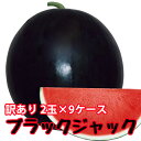 ブラックジャック スイカ 種無しすいか 送料無料 【 種なしスイカ 訳あり ご家庭用 1玉入 9ケース 】 黒皮 尾花沢スイカ スイカ 西瓜 ギフト お中元 お盆 お供え 山形 訳あり 農産物 お中元