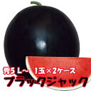 ブラックジャック スイカ 種無しスイカ 送料無料 【 種なしスイカ 秀5L 1玉入り10kg 2ケース 】黒皮 尾花沢スイカ スイカ 西瓜 訳あり お中元 お盆 お供え 山形 すいか 農産物 お中元 1 玉 の 収穫 時期 見分け 方 訳あり 金色 羅王