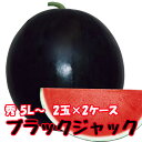 ブラックジャック スイカ 種無しスイカ 送料無料 【 種なしスイカ 秀5L 2玉入り 約10kg 2ケース 】黒皮 尾花沢スイカ スイカ 西瓜 訳あり お盆 お中元 お供え 山形 すいか 農産物 お中元 1 玉 の 収穫 時期 見分け 方 訳あり 金色 羅王