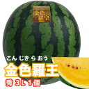 スイカ 山形 尾花沢 大玉 送料無料 【 金色羅王 金色羅皇 こんじき らおう 秀 3L 1玉 贈答用 】黄色 黄金 羅皇 ラオウ 尾花沢スイカ 山形産 お中元 お盆 お供え 甘い 糖度15度 西瓜 贈答用 訳あり すいか 農産物 1 玉 の 収穫 時期 見分け 方 訳あり 金色 羅王