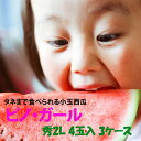 小玉スイカ 山形 送料無料 【 ピノガール 秀2L 4玉入り 3ケース 】 尾花沢スイカ 山形産 小玉すいか 敬老の日 お彼岸 西瓜 贈答用 訳あり すいか 農産物 お中元 1 玉 の 収穫 時期 見分け 方 訳あり 金色 羅王(4)