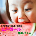 小玉スイカ 山形 送料無料 【 ピノガール 秀4L 2玉入り 1ケース】 尾花沢スイカ 山形産 小玉すいか 敬老の日 お彼岸 西瓜 贈答用 訳あり すいか 農産物 お中元