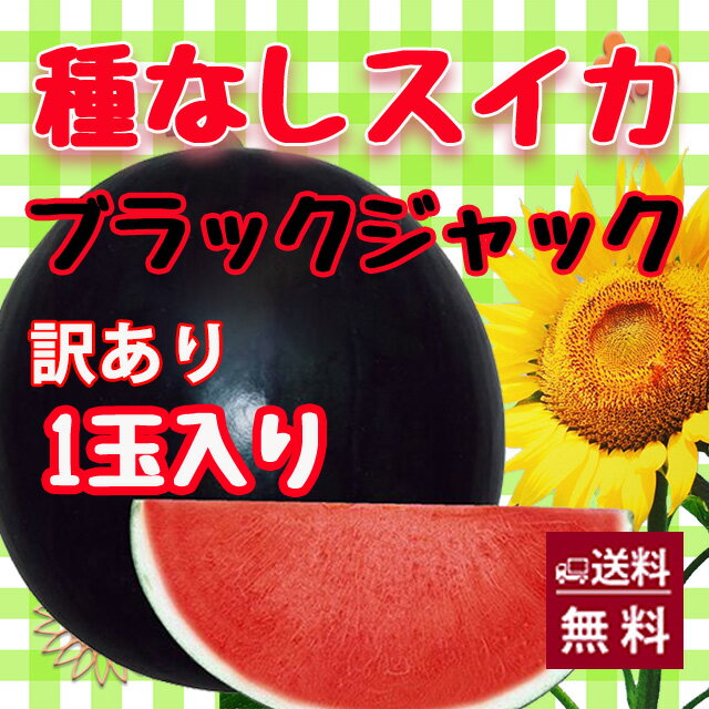 ブラックジャック スイカ 種無しスイカ 送料無料 【 種なしスイカ 訳あり ご家庭用 1玉入り 6kg〜7kg 】黒皮 尾花沢スイカ スイカ 西瓜 訳あり お中元 お盆 お供え 山形 すいか 農産物 ポイント消化 100円 300円 500円 お中元