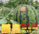 スイカ 山形 尾花沢 大玉 送料無料 【 羅王 羅王ザスイート 祭りばやし 秀 2L (約7kg以上)以上 2玉 贈答用 】らおう ラオウ 尾花沢スイカ 山形産 お中元 お盆 お供え 甘い 糖度 西瓜 贈答用 訳あり すいか 農産物 お中元 1 玉 の 収穫 時期 見分け 方 訳あり(4)
