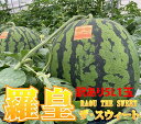 スイカ 山形 尾花沢 大玉 送料無料 【 羅王 羅王ザスイート 祭りばやし 訳あり ご家庭用 5L~ (約10kg以上) 1玉 】らおう 尾花沢スイカ 山形産 お中元 お盆 お供え 甘い 糖度 西瓜 贈答用 訳あり すいか 農産物 お中元 1 玉 の 収穫 時期 見分け 方 訳あり
