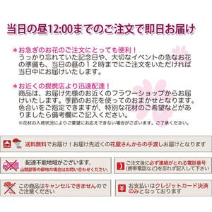 誕生日 花 ギフト 花束 【 フラワー特急便 当日届く PM1時までの受付 4,000円 】 敬老の日 花キューピット アレンジメント フラワー あじさい ひまわり バラ 仏花 一対 ミニ 大きい 小さい花 仏壇用 スタンド花 開店祝い 花ギフト クリスマス 母の日 父の日 ポイント消化