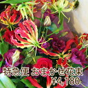 花 当日配達 当日届く 花束 ブーケ届 フラワー特急便 PM1時までの受付 フラワーアレンジ 4,180円 母の日 父の日 5月の節句 卒業式 送別 花 フラワ...