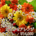 花 当日届 フラワー特急便 PM1時までの受付 フラワーアレンジメント 14,080円 母の日 2024 フラワーギフト プレゼント お彼岸 バレンタイン ひな祭り ホワイトデー アレンジメント ギフト 誕生日 結婚記念日 端午の節句 送別 卒業 入学 花束 お供え 当日配達 花ギフト