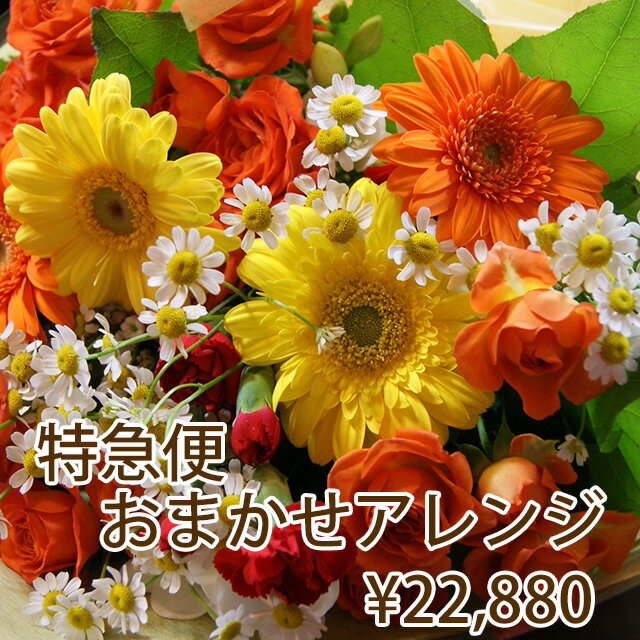 花 当日届 フラワー特急便 PM1時までの受付 22,880円 母の日 2024 フラワーギフト プレゼント お彼岸 バレンタイン 父の日 お中元 お盆 アレンジメント ギフト 誕生日 結婚記念日 端午の節句 送別 卒業 入学 花束 お供え 当日届く 当日配達 花鉢植え 花ギフト