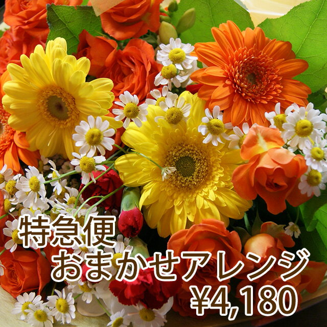 楽天花ギフト 山形産果物野菜 花樹有花 当日届 フラワー特急便 PM1時までの受付 花束 ブーケ 4,180円 父の日 お中元 お盆 母の日 2024 花 フラワーギフト プレゼント お彼岸 お供え アレンジメント フラワー あじさい ひまわり バラ 仏花 開店祝い 花ギフト 誕生日 結婚記念日 端午の節句 送別 卒業 入学