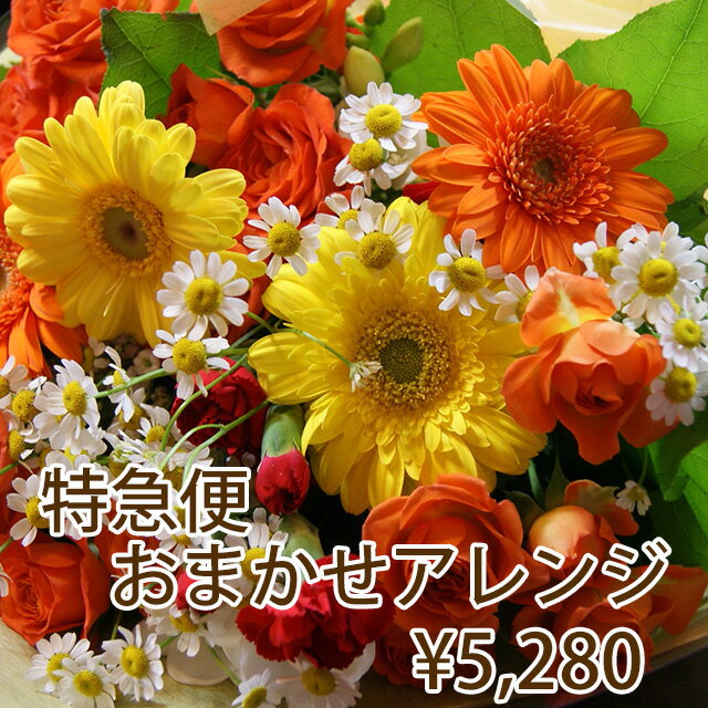 花 当日届 フラワー特急便 PM1時までの受付 フラワーアレンジメント 5280円 母の日 2024 フラワーギフト プレゼント お彼岸 バレンタイン 父の日 お中元 お盆 アレンジメント ギフト 誕生日 結婚記念日 端午の節句 送別 卒業 入学 花束 お供え 当日届く 当日配達 花ギフト