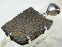 ■龍香堂■☆Fossil Turtle Shell(亀甲羅化石)銀台ペンダントトップ31mm