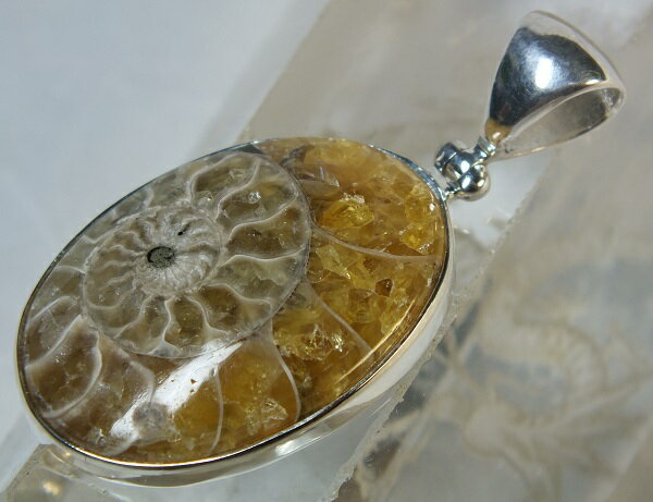 ■龍香堂■☆アンモナイト化石　銀枠ペンダントトップ28mm
