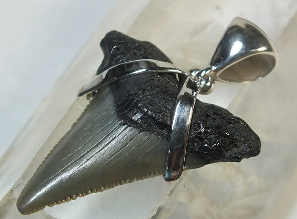 ■龍香堂■☆鮫歯化石（fossil shark tooth）シルバーペンダントトップ31mm（v3）