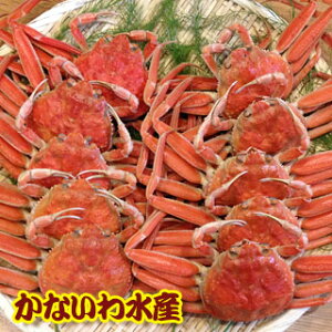 【送料無料】金沢よりボイル発送!セイコガニ10杯セット(香箱ガニ・勢子ガニ・親ガニ・コウバコガニ・セコガニ)