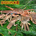 商品画像3
