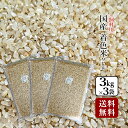 【送料無料】国産 着色米9kg(3kg×3袋)長野県飯山産 金崎さんちのお米【39ショップ】