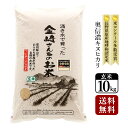 【送料無料】奥信濃キヌヒカリ(玄米)10kg 令和7年産スーパーフード 家庭用精米機 玄米食 長野県飯山産 金崎さんちのお米【39ショップ】